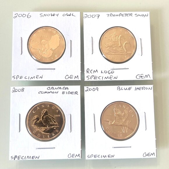 2006, 2007, 2008 and 2009 Canada Special Edition Specimen $1 Dollar Loonies! - Picture 1 of 10